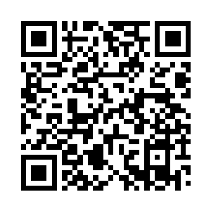 苏林随着轩辕芷晴来到了她所说的实验室二维码生成