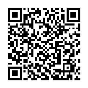 苏林零零散散的遇到了一些在蛮荒火狱中摸索前进的武者二维码生成