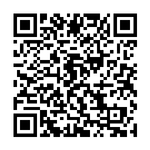 苏林顾不上口中喷出的鲜血和被严重震伤的五脏六腑二维码生成