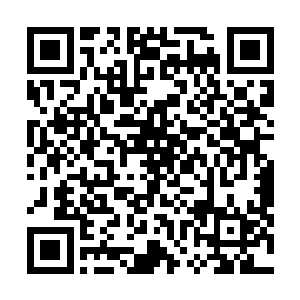 苏洛已经把自己身边的这些女人的情况都大体的说了一遍二维码生成