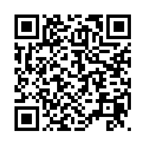 苏浣羽等弟子在近段时间修炼也跟了上来二维码生成