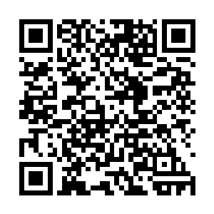苏浩毕竟也是一个差点踏入炼神还虚境界的修道者二维码生成