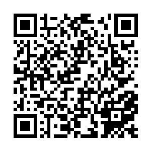 苏海显然并没有就这个事情发表任何的意见和砍翻二维码生成