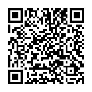 苏澈便明显地感觉到整片峡壁都开始剧烈地震动起来二维码生成