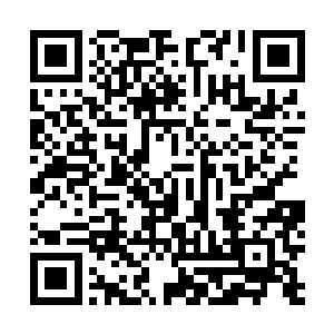 苏澈可以说在自韶华峰陨落之前是一点脸色都没看过的人二维码生成