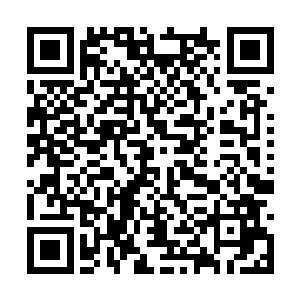 苏澈在那一瞬间似乎感觉自己十分没用地红了眼眶二维码生成