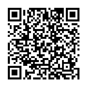 苏澈有些瞠目结舌地感觉到自己手中的东西又胀大了一圈二维码生成