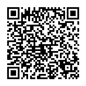 苏澈还没到可以去了解这些男欢女爱的年龄的时候就已经开始修道了二维码生成