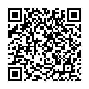 苏燕青原本搁在陆为民腰际的双手开始渐渐向上移动二维码生成