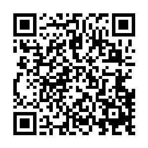 苏燕青和邻居――省政府法制办的一个同事说笑着一起上楼二维码生成