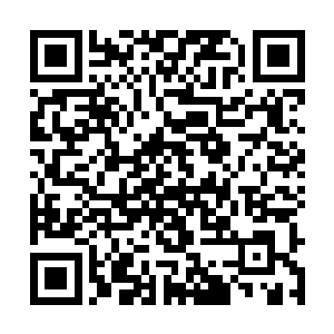 苏父倒是有些嫉妒的瞥了眼那碗里还剩下的2个水饺二维码生成