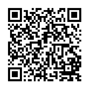 苏父和汪鑫强刚看到那一窝狐狸就惊讶地张大了嘴二维码生成