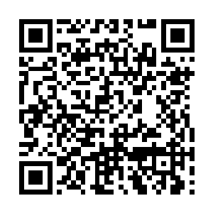 苏父苏母的眼睛在自家女儿和穆昂的身上打着转儿二维码生成