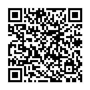 苏琦莲使出的威力和怜月演练掌法之时所造成的威力无法相比二维码生成