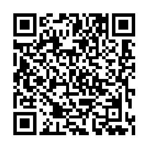 苏瑷没由来的联想到了在候机室外站着的君容祈二维码生成