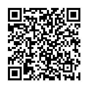 苏瑷的确是没想着要隐瞒别人自己和穆昂交往的事情二维码生成