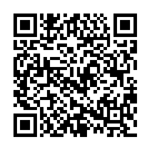 苏碧湖在得知他们名姓之后才又开口问起两人接下来的打算二维码生成