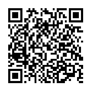 苏紫萱对外面控制的经纪人桃姐做了一个开始的手势二维码生成