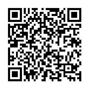 苏紫萱第一反应当然就是去搜索自己脑海当中有关芝安市的歌手二维码生成