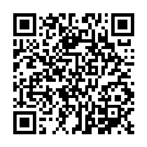 苏老爷子依旧还是一年前那位让人大家心惊胆战的大魔王二维码生成