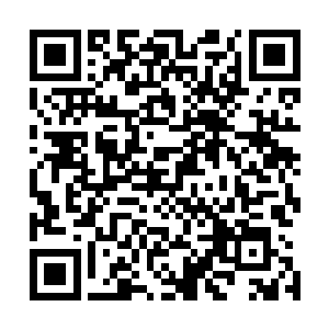 苏芷妍当然不会告诉弟弟他们夏云杰并不是一个凡人的事情二维码生成