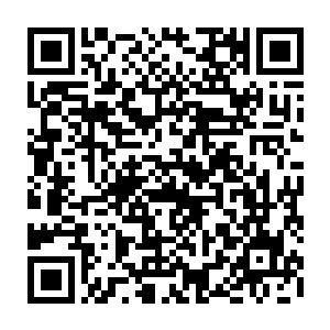 苏芷妍马上就联想到了阿及亚最大的土王匍匐在他脚前亲吻他脚背的事情二维码生成