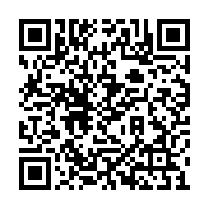 苏菲似乎有一次看见了自己丈夫出征前的那一幕二维码生成