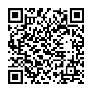 苏落一开始就在少将军面前营造出一种神秘的形象二维码生成