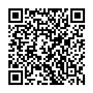 苏落不耐烦地一把推开摇摇晃晃艰难地站起来的李傲尘二维码生成