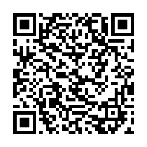 苏落之前不是说……要把整个兑换大厅全部包下了吗二维码生成