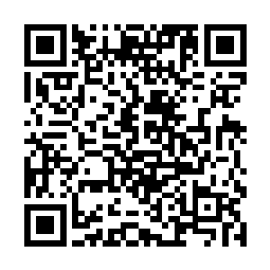 苏落之前捉到的那些被她丢进小溪的赤炭胭脂皇帝蟹二维码生成