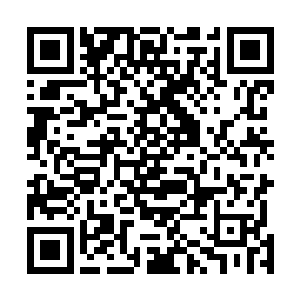 苏落也被城主大人刚才对东方玄说的那番话给惊呆了……二维码生成