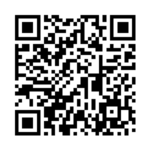 苏落从空间里抓出几个已经凉掉的饭团二维码生成