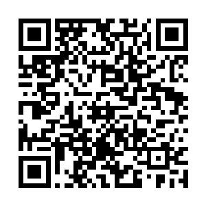 苏落其实很不忍心骗魔帝……她的内心充满了愧疚二维码生成