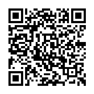 苏落到现在脑海里还依旧保持着那样的道德观点二维码生成