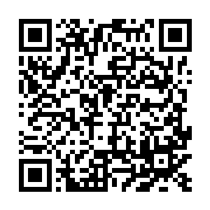 苏落发现墨村长的身体正在以肉眼可见的速度腐蚀……二维码生成