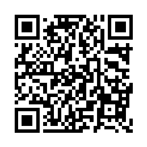 苏落将之前楚老爷子那里拿来的镇妖塔还回去二维码生成