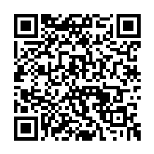 苏落就是浪费得这样理所当然理直气壮神清气爽二维码生成