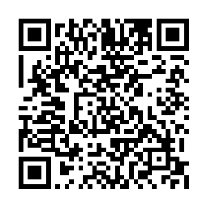 苏落就没有理由再呆在火邪幻兽王者的肚子里了二维码生成