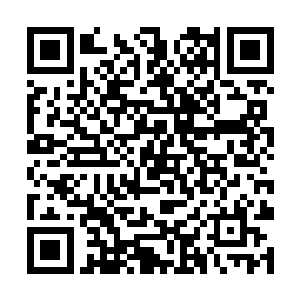 苏落已经以最快的速度从地底火山核心区域往外冲了二维码生成