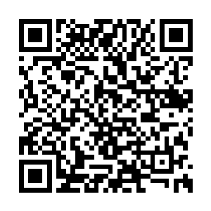 苏落已经被内定为未来的炼药师公会会长大人了二维码生成