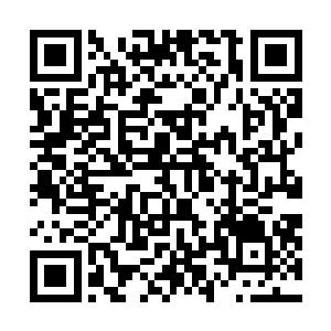 苏落当着所有下人的面确立了绿萝独一无二的大丫鬟地位二维码生成