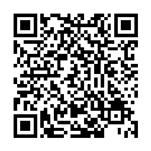 苏落想起那只之前被小萌龙扑蝶却被无意中毁尸灭迹的蝴蝶二维码生成