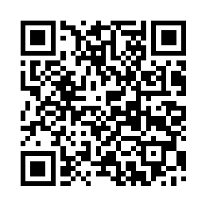 苏落手中的这块原石里确实蕴含着晶石二维码生成