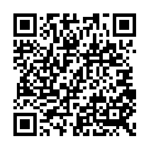 苏落暗自纳闷……她好像没做有损龙凤族的事吧二维码生成