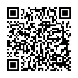 苏落有事没事就去雷霆金丝网那里看看南宫流云的状况二维码生成