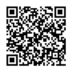 苏落没忘记自己从天台走下来的时候路过唐雅岚的房间二维码生成