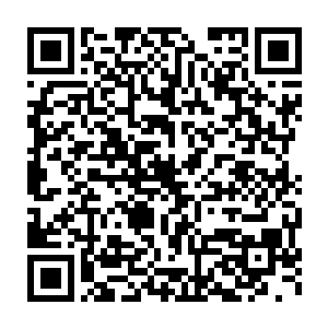 苏落注意到她队伍里的一些人对着那些打鱼怪掉落的物品很有兴趣二维码生成