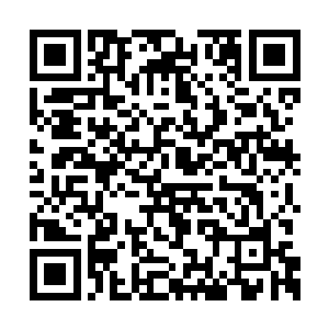 苏落现在越发觉得这座离火城充满神秘瑰丽色彩二维码生成