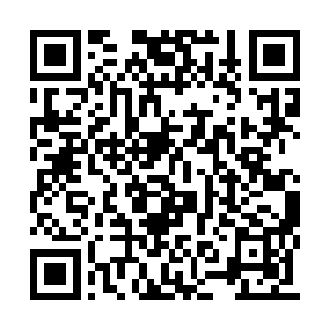 苏落纤细手指指向地上被东方玄禁锢起来的悬狸二维码生成